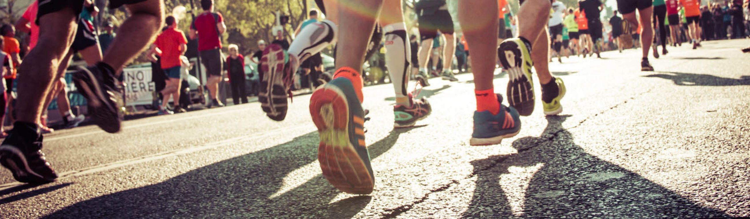 事業紹介トップイメージ